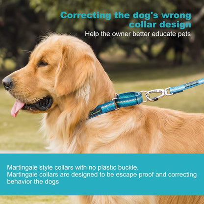 Heavy-Duty Martingale Dog Collar with Distinct Geometric Design for Medium and Large Dogs - Silky Turquoise (Large)