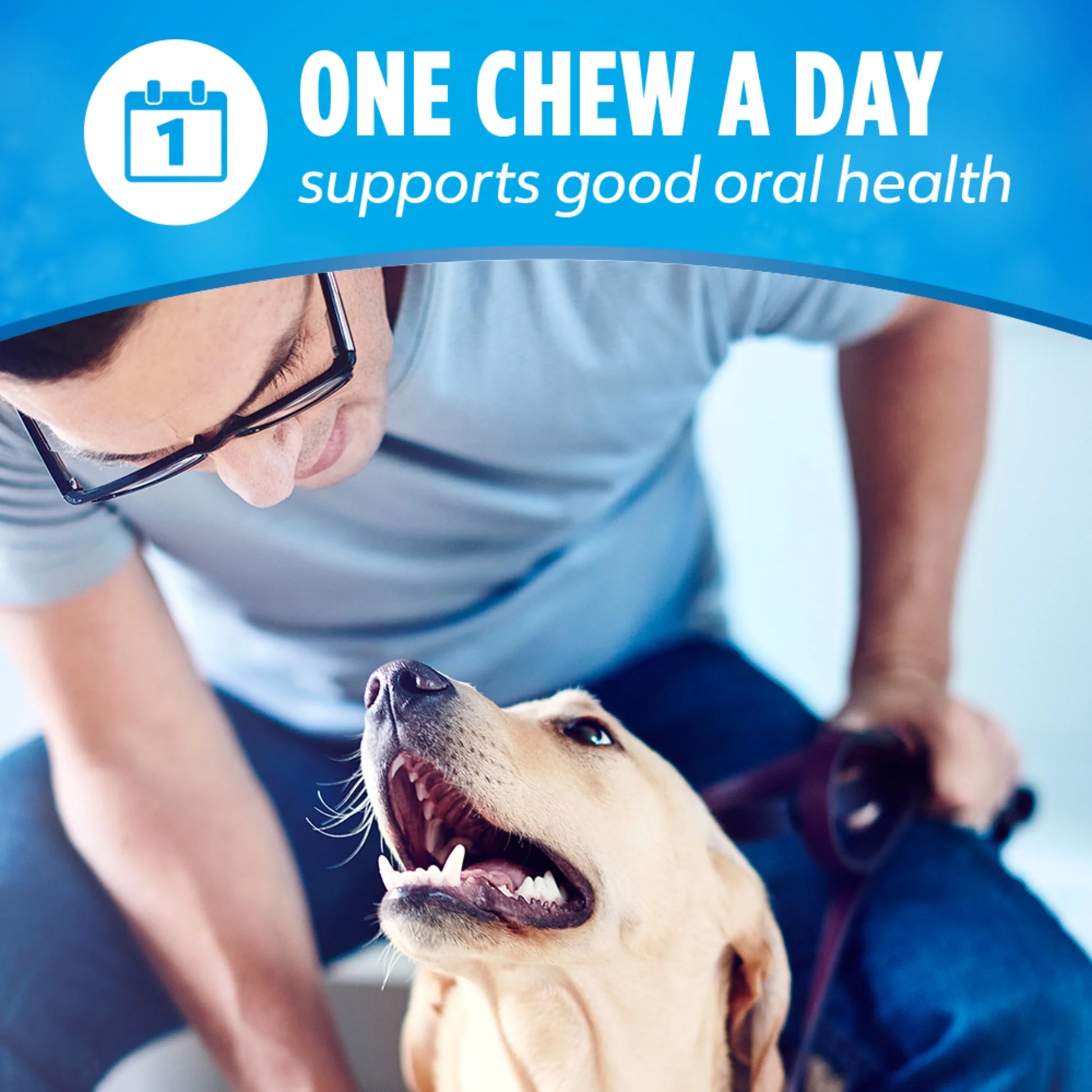 Purina Daily Oral Care Dental Treats for Large Dogs with Chicken, 20.7 oz Pouch (18 Count)