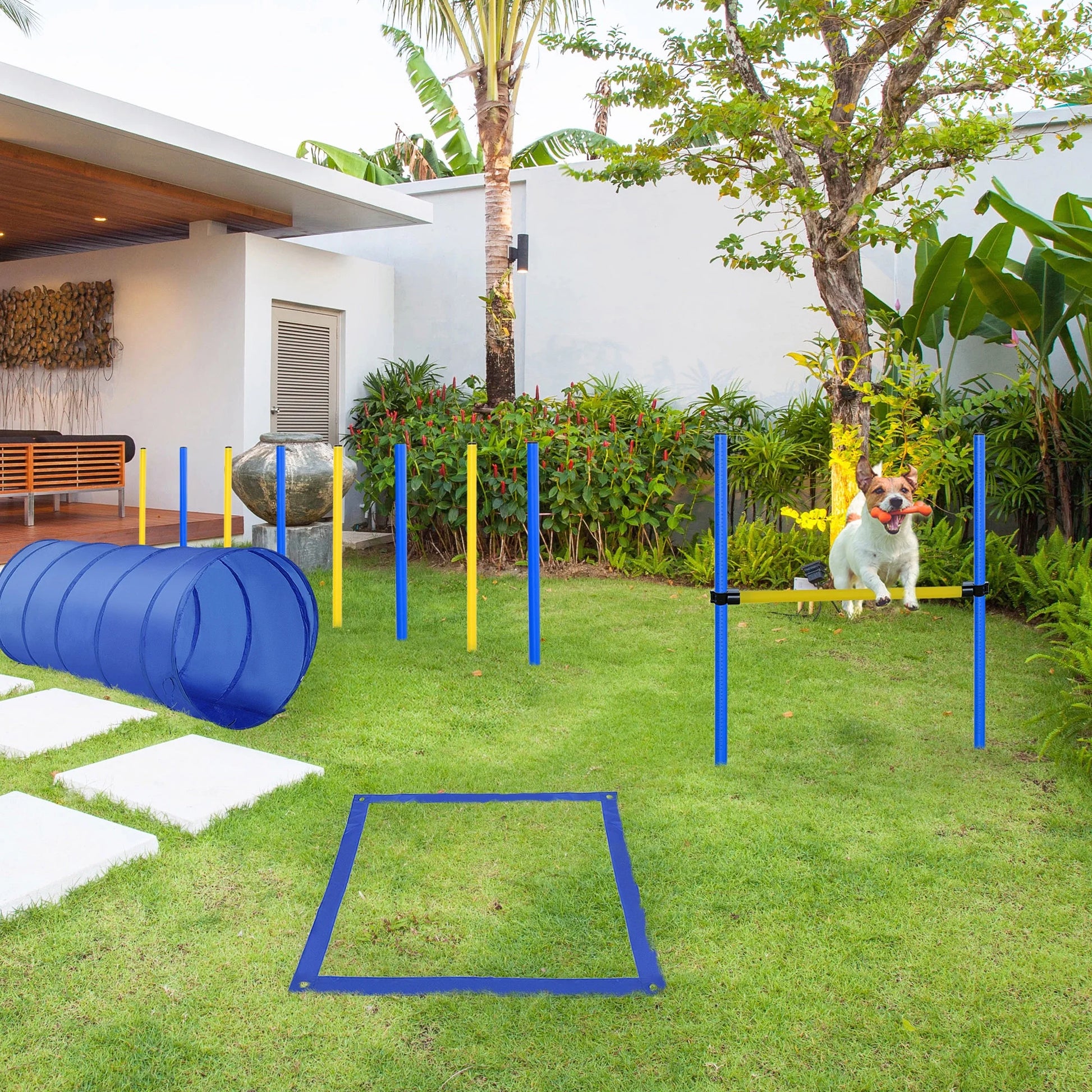 4-Piece Dog Agility Training Course Kit for Backyard Competitions - Blue and Yellow