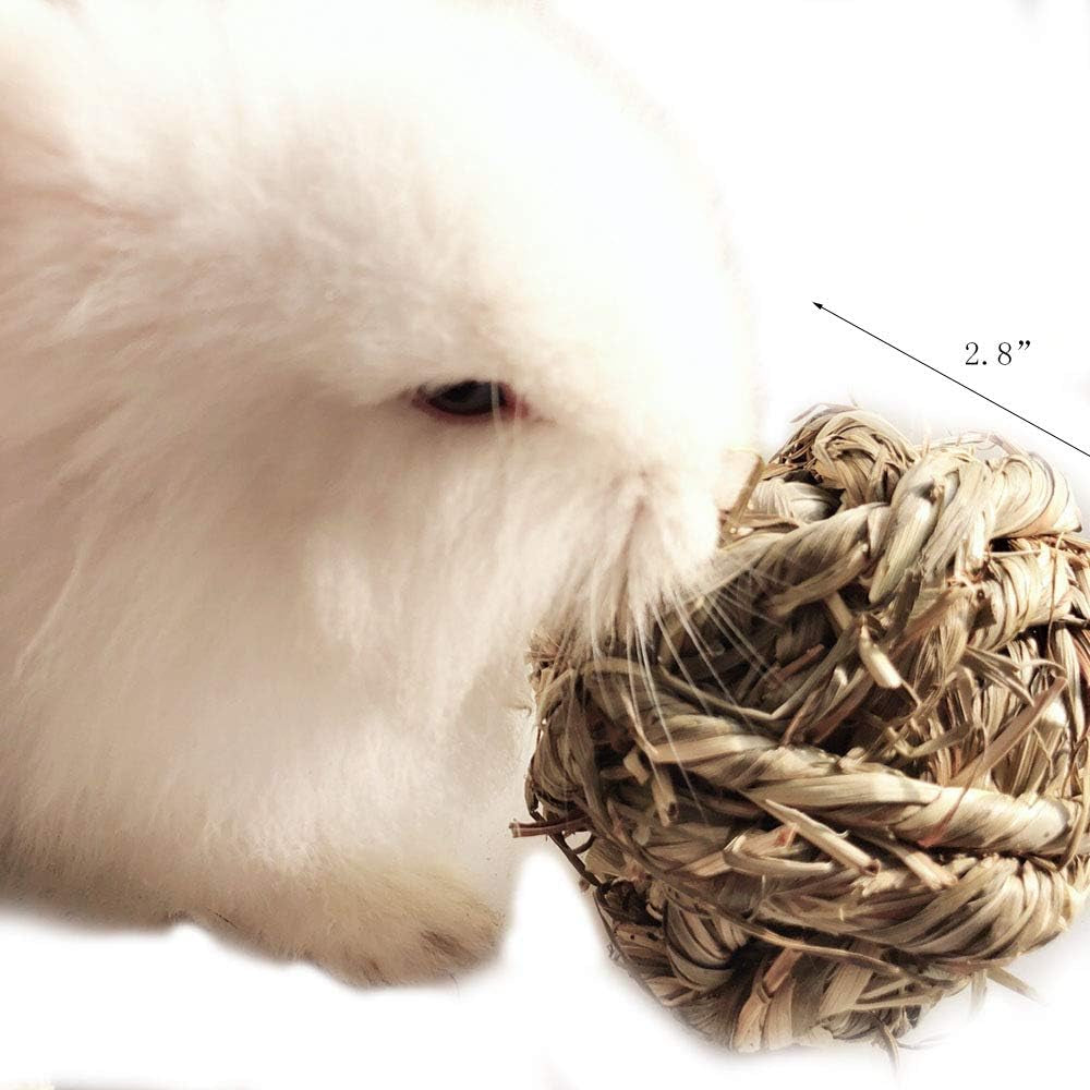 Timothy Grass Chew Ball for Small Animals - Engaging Activity and Dental Care Toy for Rabbits, Hamsters, Guinea Pigs, and Gerbils