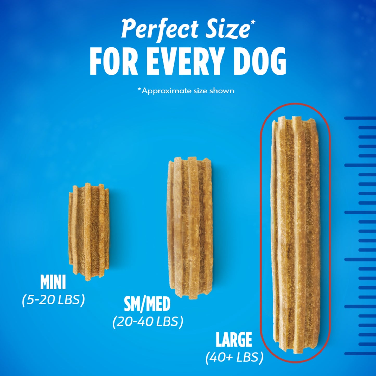 Purina Daily Oral Care Dental Treats for Large Dogs with Chicken, 20.7 oz Pouch (18 Count)