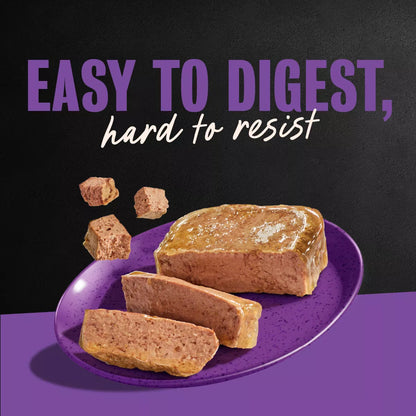 Cesar Classic Loaf in Sauce Grilled Chicken and Gravy Flavor Wet Dog Food for Small Breeds - 3.5 Oz