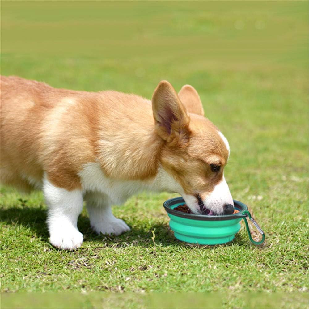Collapsible Silicone Pet Bowls - 2 Pack, Portable and Expandable Dog/Cat Feeders for Food and Water, Ideal for Travel and Camping (Light Blue & Light Green)