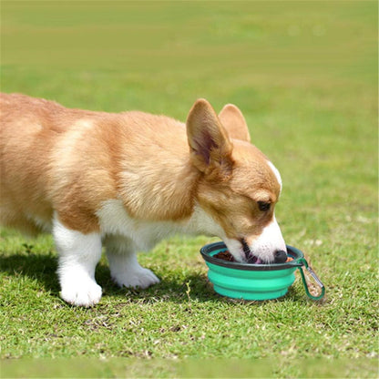 Collapsible Silicone Pet Bowls - 2 Pack, Portable and Expandable Dog/Cat Feeders for Food and Water, Ideal for Travel and Camping (Light Blue & Light Green)