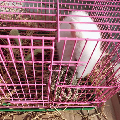 Timothy Grass Chew Ball for Small Animals - Engaging Activity and Dental Care Toy for Rabbits, Hamsters, Guinea Pigs, and Gerbils