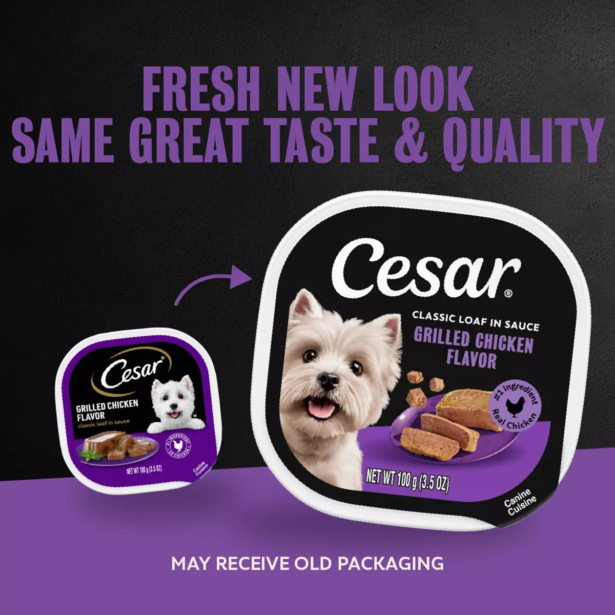 Cesar Classic Loaf in Sauce Grilled Chicken and Gravy Flavor Wet Dog Food for Small Breeds - 3.5 Oz