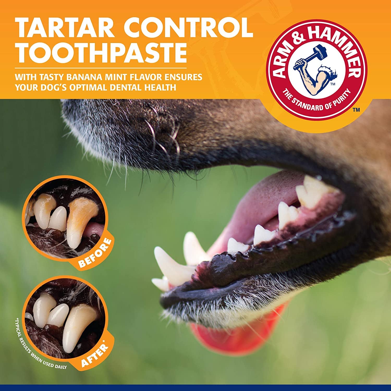 Professional Pet Dental Care Kit for Tartar Control - Banana Mint Toothpaste with Baking Soda, Double-Sided Toothbrush, and Finger Brush - 2.5 oz, 3-Piece Set