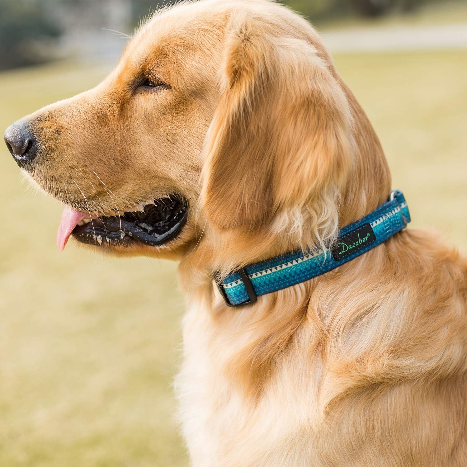 Heavy-Duty Martingale Dog Collar with Distinct Geometric Design for Medium and Large Dogs - Silky Turquoise (Large)