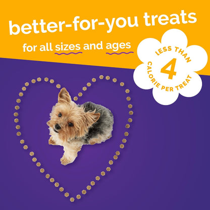 Skinny Minis Healthy Pumpkin Dog Treats - Low Calorie, Wheat-Free, Corn-Free, Soy-Free, Made in the USA, Pumpkin and Mango Flavor, 5 Oz