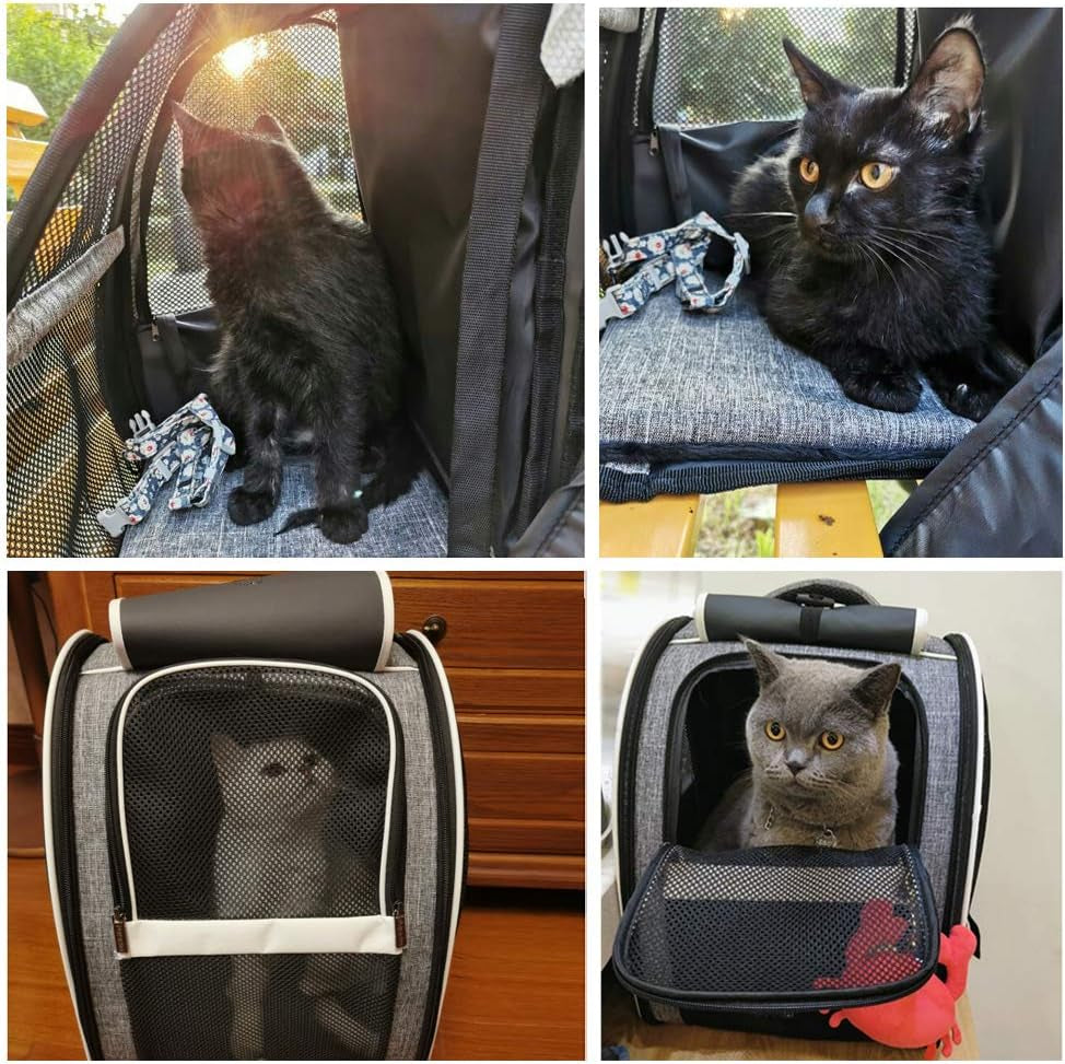 Premium Pet Carrier Backpack with Window Blind for Small Cats and Dogs, Ventilated Design, Safety Straps, Buckle Support, Collapsible for Travel, Hiking, and Outdoor Adventures
