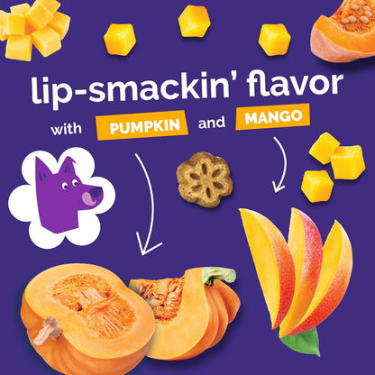 Skinny Minis Healthy Pumpkin Dog Treats - Low Calorie, Wheat-Free, Corn-Free, Soy-Free, Made in the USA, Pumpkin and Mango Flavor, 5 Oz