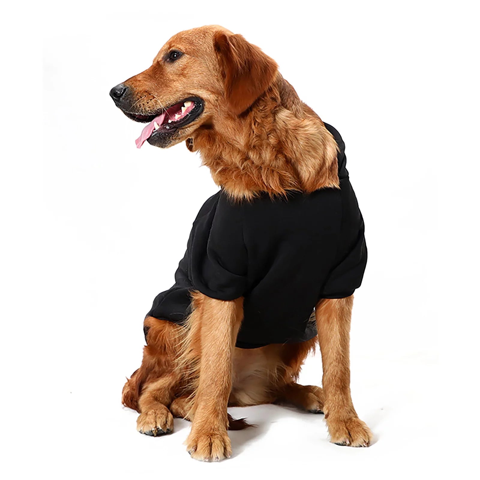 Large and Small Dog Sweaters - Stylish Pet Apparel for Small Dogs, Including Tutu Options for Boys and Girls