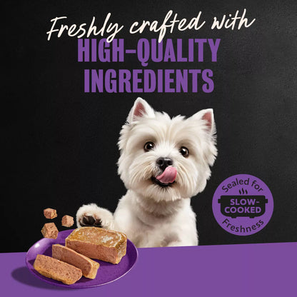 Cesar Classic Loaf in Sauce Grilled Chicken and Gravy Flavor Wet Dog Food for Small Breeds - 3.5 Oz