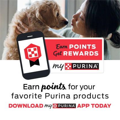Purina Daily Oral Care Dental Treats for Large Dogs with Chicken, 20.7 oz Pouch (18 Count)
