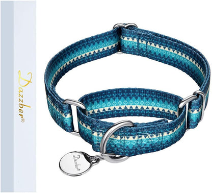 Heavy-Duty Martingale Dog Collar with Distinct Geometric Design for Medium and Large Dogs - Silky Turquoise (Large)