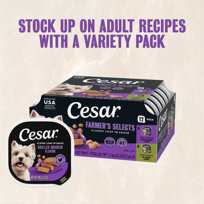 Cesar Classic Loaf in Sauce Grilled Chicken and Gravy Flavor Wet Dog Food for Small Breeds - 3.5 Oz