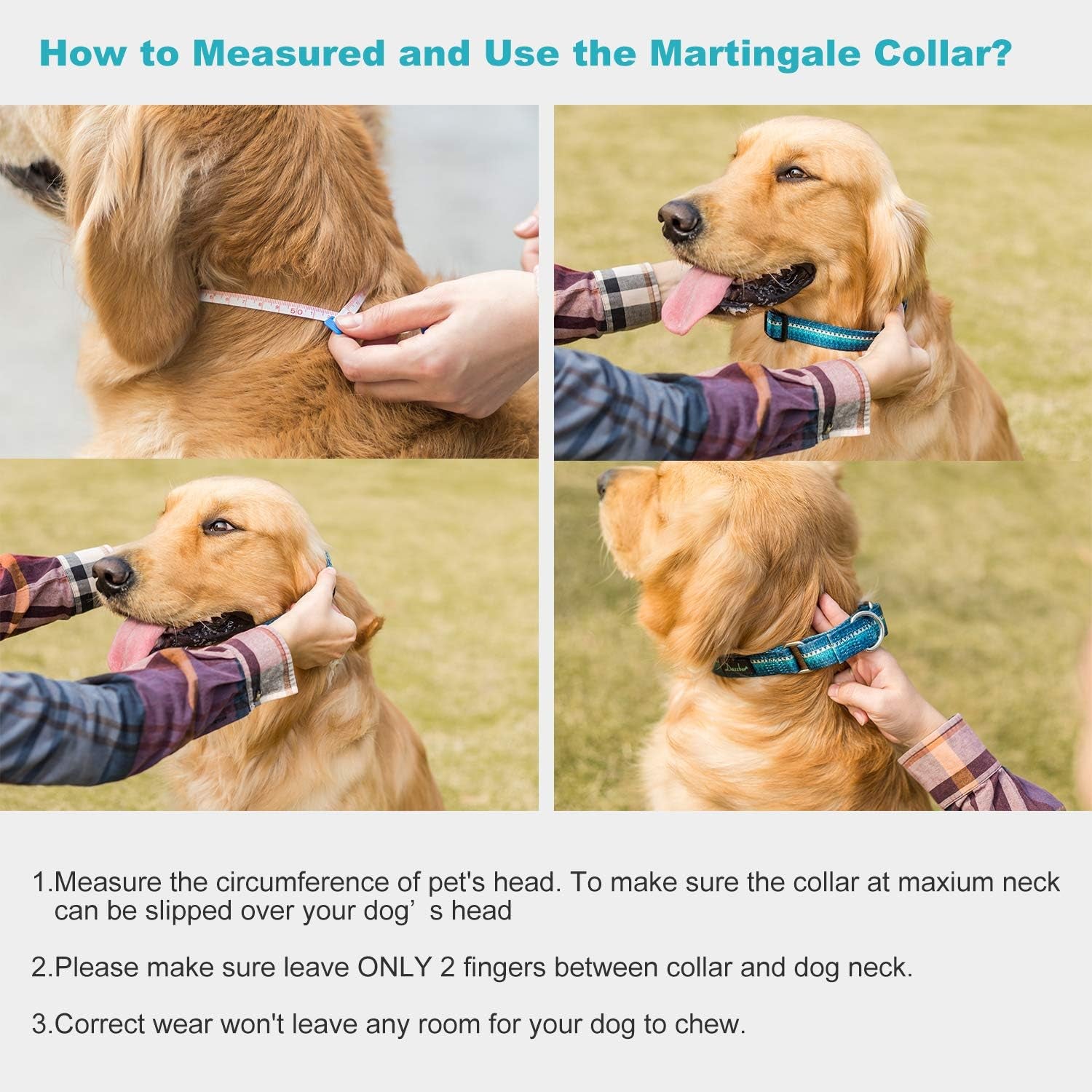 Heavy-Duty Martingale Dog Collar with Distinct Geometric Design for Medium and Large Dogs - Silky Turquoise (Large)