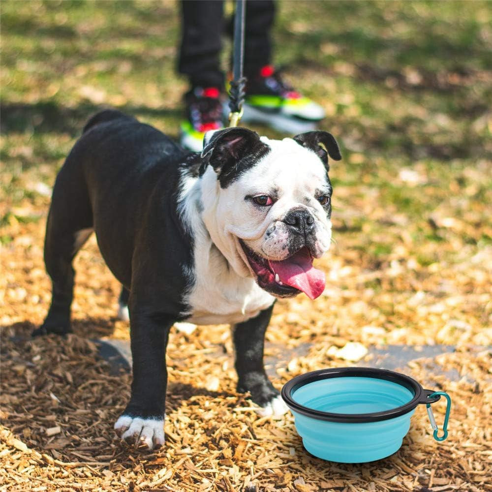 Collapsible Silicone Pet Bowls - 2 Pack, Portable and Expandable Dog/Cat Feeders for Food and Water, Ideal for Travel and Camping (Light Blue & Light Green)